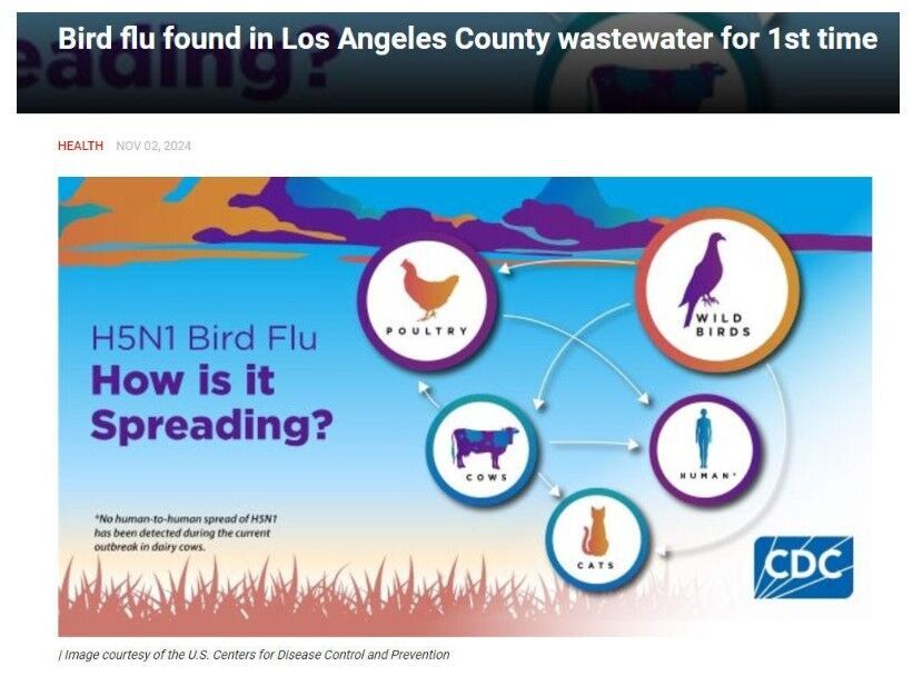 H5N1 in wastewater