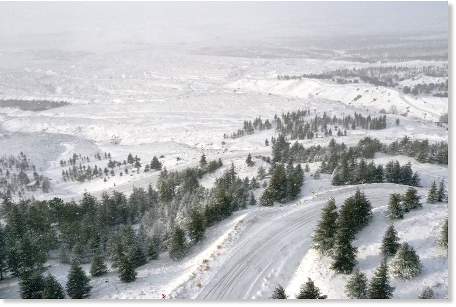 A drone shot of the forested area with