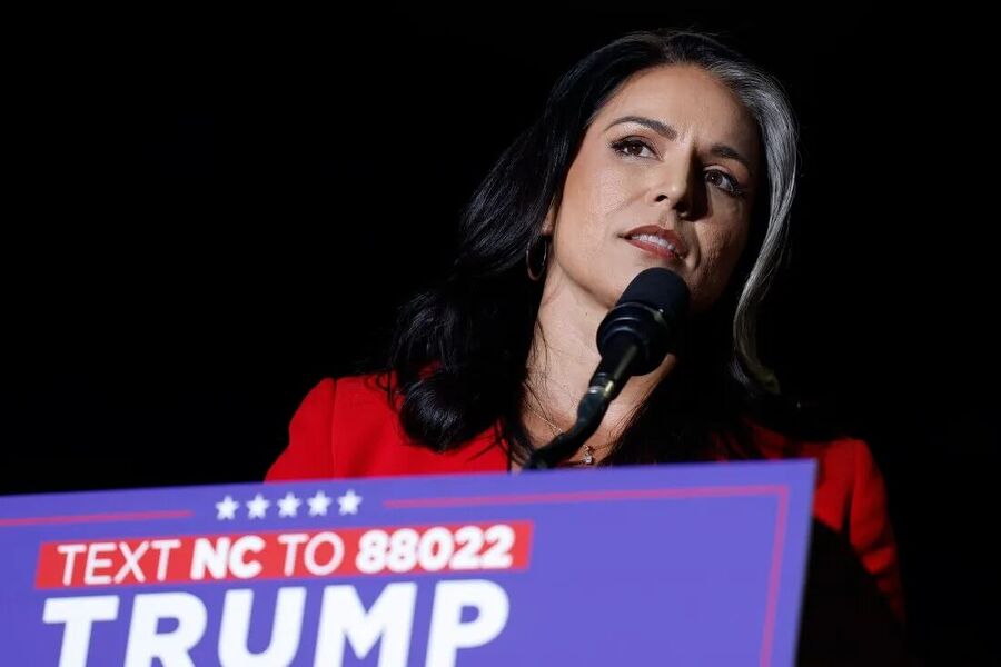 tulsi gabbard trump dni national intelligence