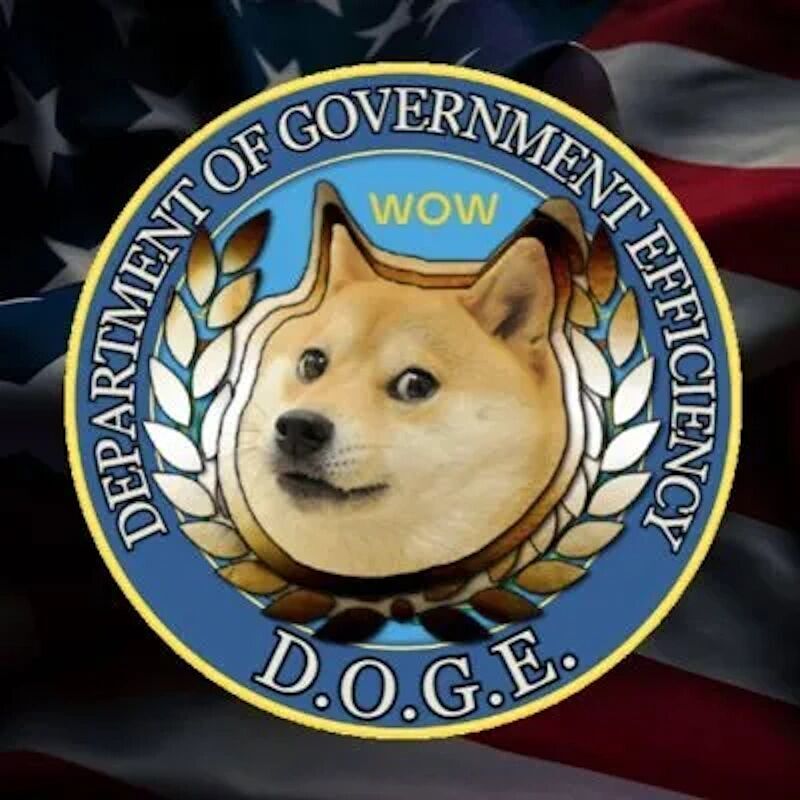 musk DOGE government efficiency trump