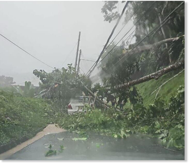 A fallen tree blocks the roadway at Runnemede, Tobago, after heavy rains caused a landslide yesterday.