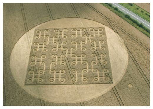 Endless crop circle by A272 'best this year' -- High Strangeness ...