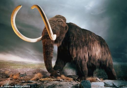 Amazingly preserved woolly mammoth found frozen in Siberia after 39,000 ...