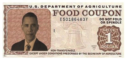 food stamps dallas