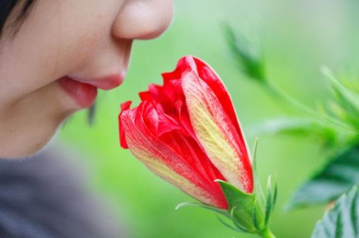 smelling the flowers